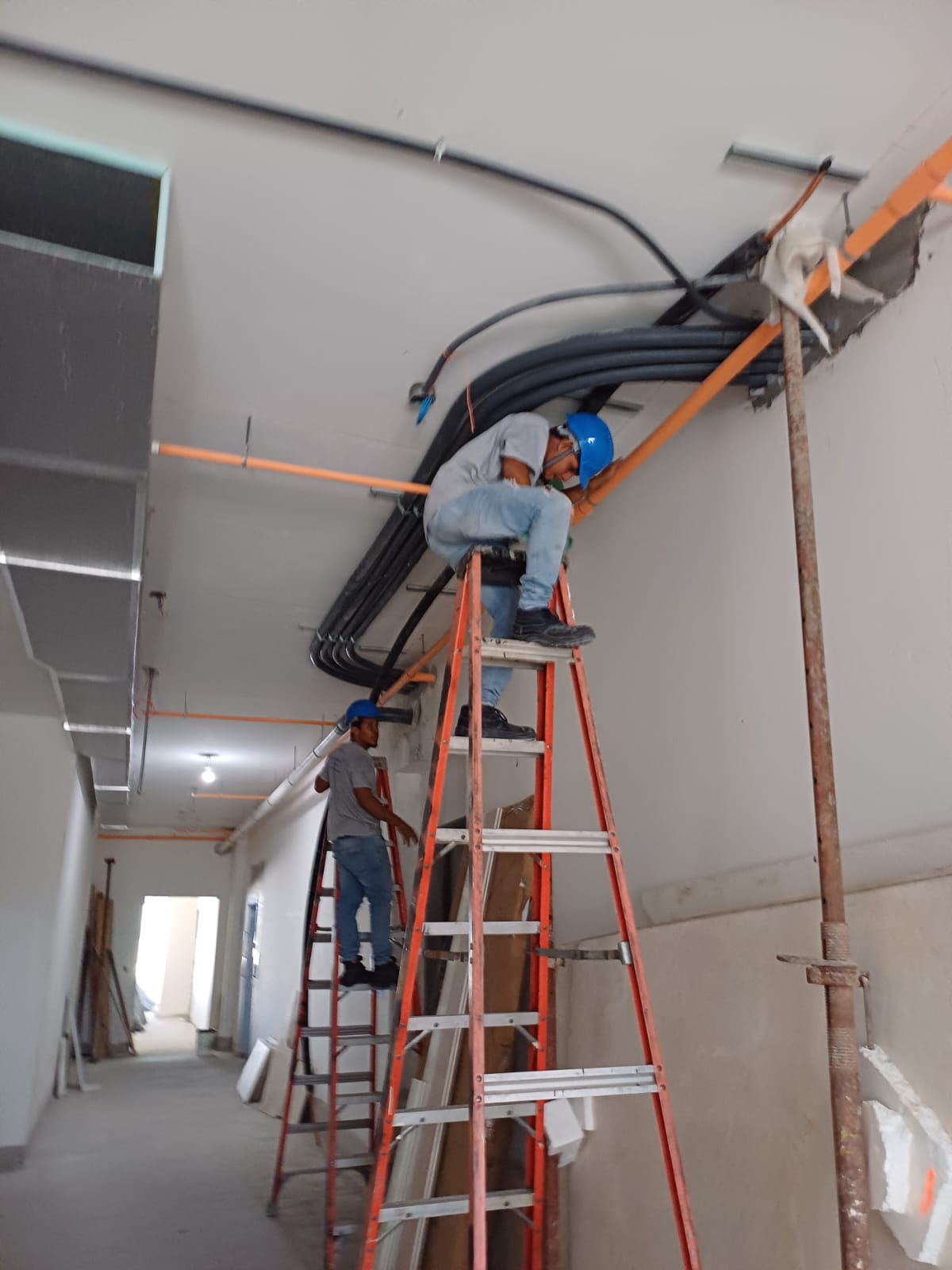 Imagen de WhatsApp 2025-02-06 a las 13.35.18_b9cbafda - Copy